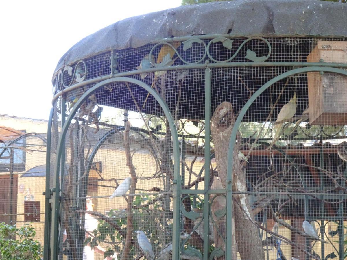 B&B Villa San Marco Agrigento Exterior foto